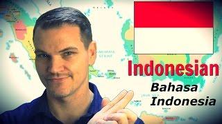 The Indonesian Language Bahasa Indonesia