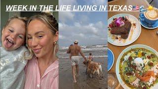 WEEK IN THE LIFE VLOG Date Day Grocery Haul Thrifting Deep Chats