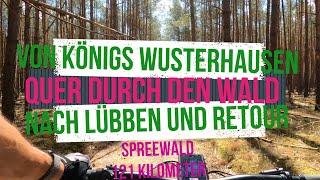 E-Bike Von Königs Wusterhausen quer durch den Wald nach Lübben in den Spreewald 121Kilometer