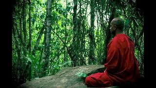 The dhamma and the real world - Podcast Buddha Dhamma - Theravada Buddhism