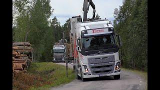 Volvo FH16 750 & Volv FH16 Timber Trucks 4K
