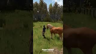 Leading Ruby into the pasture - it feels like ASMR  Horse Project