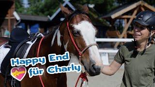 Westernreiterin sattelt um – Große Veränderung für Quarter Horse Charly  pferde doku