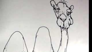 Theyve Put a Brassiere on the Camel- A Poem by Shel Silverstein