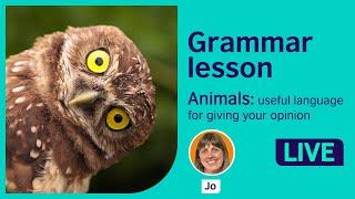 Grammar Lesson Language for giving opinions