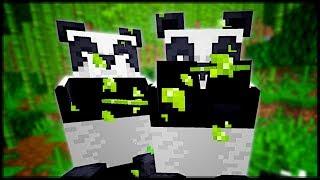 Alles was du über Minecraft Pandas wissen musst   Minecraft Was musst du Wissen Pandabären