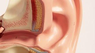 What Is an Outer Ear Infection?  Ear Problems