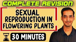 Sexual Reproduction in Flowering plants Class 12 Quick Revision in 30 Minutes CBSESourabh Raina