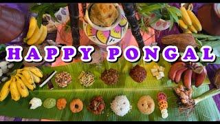 Thai Pongal Food Promotion Festival