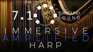 Immersive Amplified Harp