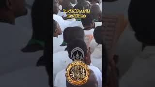 La vérité par le mouridisme #Touba #Mouridisme #18safar par le Professeur Mboup MisterBlue