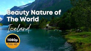 Top Nature Videos  Relaxing Music With Beautiful Nature Videos  Beauty Nature of The World Nature
