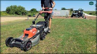 FIRST MOW On New Grass In JUST 7 DAYS + Scalp Updates and More