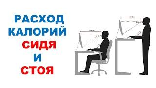 Разница в расходе калорий в положении сидя и стоя  Научный эксперимент