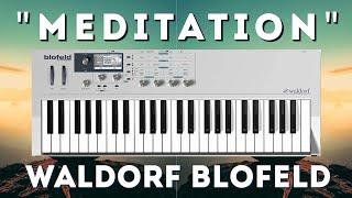 Waldorf Blofeld - Meditation Soundset 50 presets