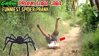 Video Lucu  Funniest Spider Prank  Edisi Terbaru Prank Laba Laba Bikin Ngakak 