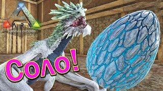 ARK Survival Evolved на карте Ragnarok - Яйцо Ледяной Виверны и Детёныш - 21