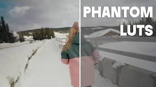 The ONLY Video LUTs You Will Ever Need  Phantom LUTs Review