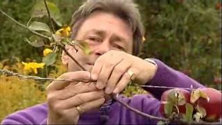Alan Titchmarsh - Growing fruit