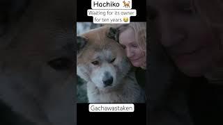 Hachiko  One of the best sad movie  #shortvideo #shorts #hachiko #movie