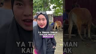 Kurban sapi Rp.100.000.000 ?