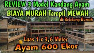 REVIEW 3 Model Kandang Ayam BIAYA MURAH Tampil MEWAH 1 x 36 Meter Ayam 600 Ekor di Belakang Rumah