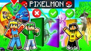 MINECRAFT PIXELMON MA LA RUOTA BANNA IL POKEMON COLORATO