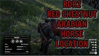 RDR2 RED CHESTNUT ARABIAN HORSE LOCATION