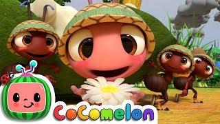 The Ants Go Marching  CoComelon Nursery Rhymes & Kids Songs