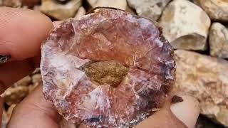 Show Natural Gemstones Agate Chalcedony Carnelian Petrified Wood Part 49