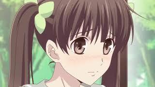 Fruits basket AMV