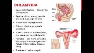 Chapter 27 SEXUALLY TRANSMITTED INFECTIONS