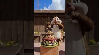 Happy Birthday Chip and Dale