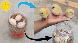 How to hatch eggs at home without incubator  Incubator plastic box help sunlight 100% result