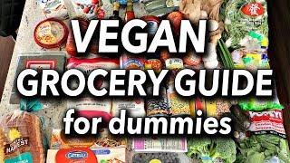 BUDGET FRIENDLY VEGAN GROCERY GUIDE FOR BEGINNERS  Vegan Grocery Haul