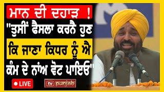 Patiala ਤੋਂ Bhagwant Mann ਦੀ ਦਹਾੜ  #LIVE - TV Punjab