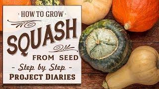  How to Grow Squash from Seed A Step by Step Guide