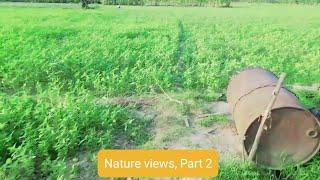 Nature Views BD part 2