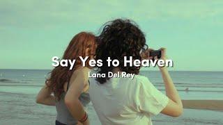 Say Yes to Heaven - Lana Del Rey  Ryu’s Music