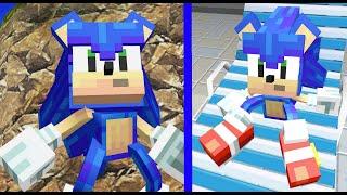 Minecraft Sonic in Sonic Adventure