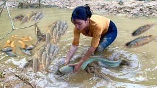 Harvest a school of fish on the dike catch and bring to the market to sell.