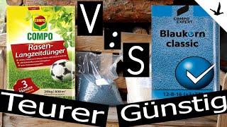 Rasendünger Test und Vergleich  Marken Rasendünger gegen Blaukorn Classic.
