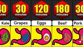 How Long Do Foods Stay In Your Stomach?  Comparison