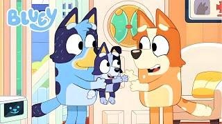 BLUEY SURPRISE EPISODE IN 8 MINUTES Season 3 Finale