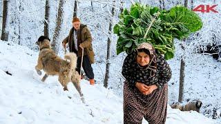 Köydeki Yaşlı Çiftin Çileli Hayatı  Belgesel