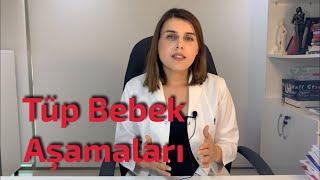 Tüp Bebek Tedavisi Aşamaları Antalya - Op. Dr. Funda Yazıcı Erol