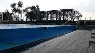 berenang di aquarium raksasa kota semarang....suegerrrrr