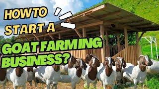 HOW TO START A GOAT FARMING BUSINESS?  STEP BY STEP TIPS