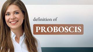 Proboscis  meaning of PROBOSCIS