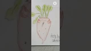 Arts #19 Beetroot diabetes - Řepa burák cukrovka #short #art #beetroot